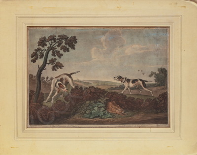 Барфорд (Burford) Томас (1710-е – около 1779). Пойнтеры и заяц. 1754 год.