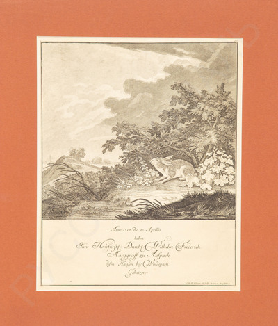 Йохан Элиас Ридингер (Riedinger)(1698–1797). Кролик, прячущийся от грозы. 1718.