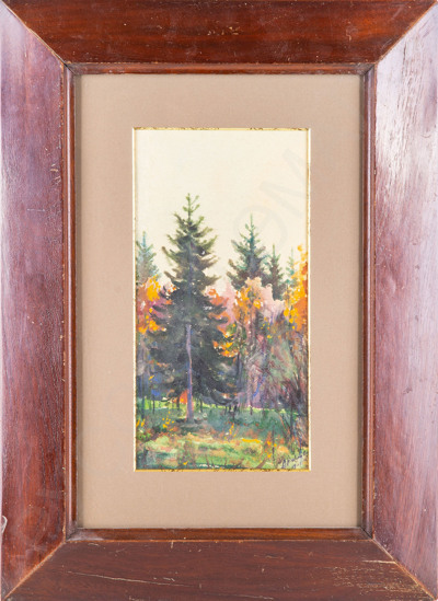Неизвестный художник. Пейзаж с елками. 1901.